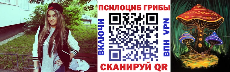 Псилоцибиновые грибы прущие грибы  Купить закладки  Дигора 